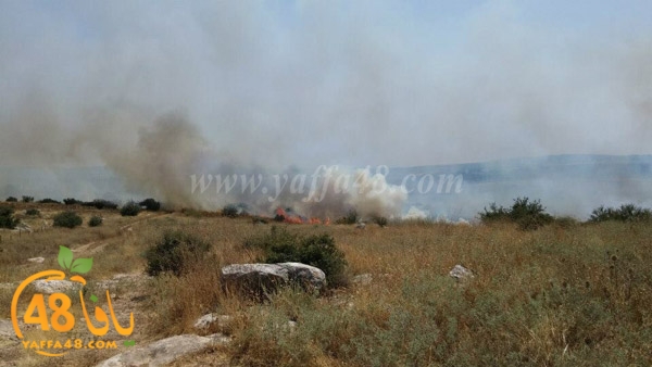 fire a7rsaah (10).jpg